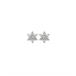 Boucles d'oreilles - Argent