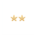 Boucles d'oreilles - Plaqué or