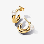 Pandora - Boucles d'Oreilles