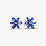 Pandora - Boucles d'Oreilles