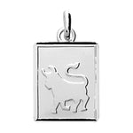 Robbez - Pendentif - Zodiaque - Argent
