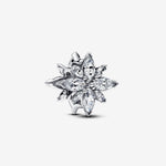 Pandora - Charms