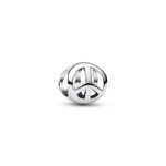 Pandora - Charms