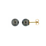 Beheyt - Boucles d'oreilles - Or jaune & perles