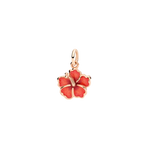 Dodo - Fleur d'hibiscus