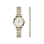Fossil - Coffret Carlie