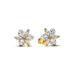 Pandora - Boucles d'Oreilles
