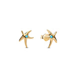Pandora - Boucles d'Oreilles