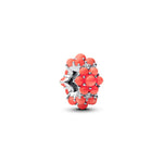 Pandora - Charms