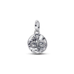 Pandora - Charms