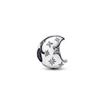 Pandora - Charms