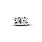 Pandora - Charms