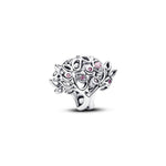 Pandora - Charms
