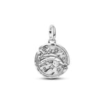Pandora - Charms