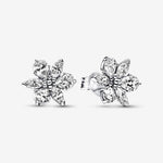 Pandora - Boucles d'Oreilles