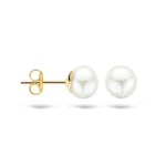 Blush - Boucles d'oreilles