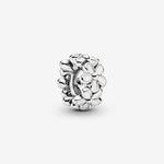 Pandora - Charms