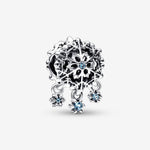 Pandora - Charms