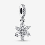 Pandora - Charms