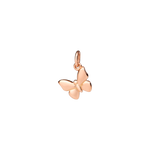 Dodo - Papillon