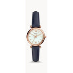 Fossil - Carlie