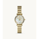 Fossil - Carlie