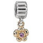Pandora - Charm - Bijouterie JC Lambert