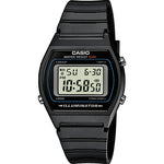 Casio - Vintage Edgy