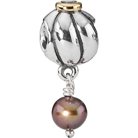 Pandora - Charm - Bijouterie JC Lambert