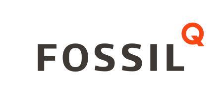 Fossil Q - Bijouterie JC Lambert