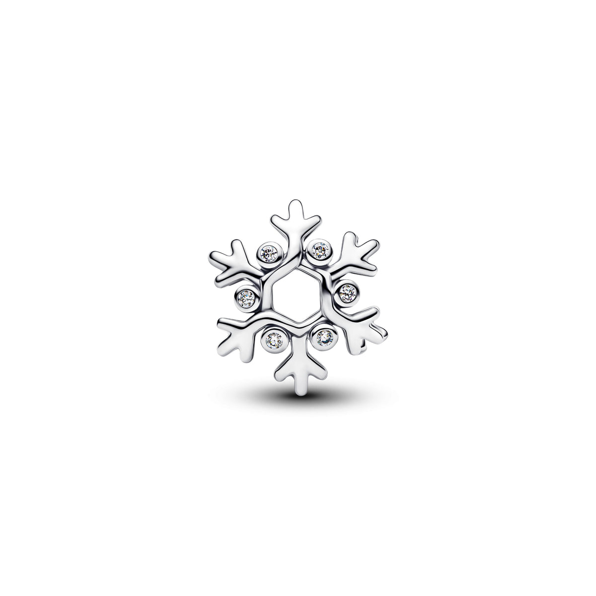 Pandora - Charms