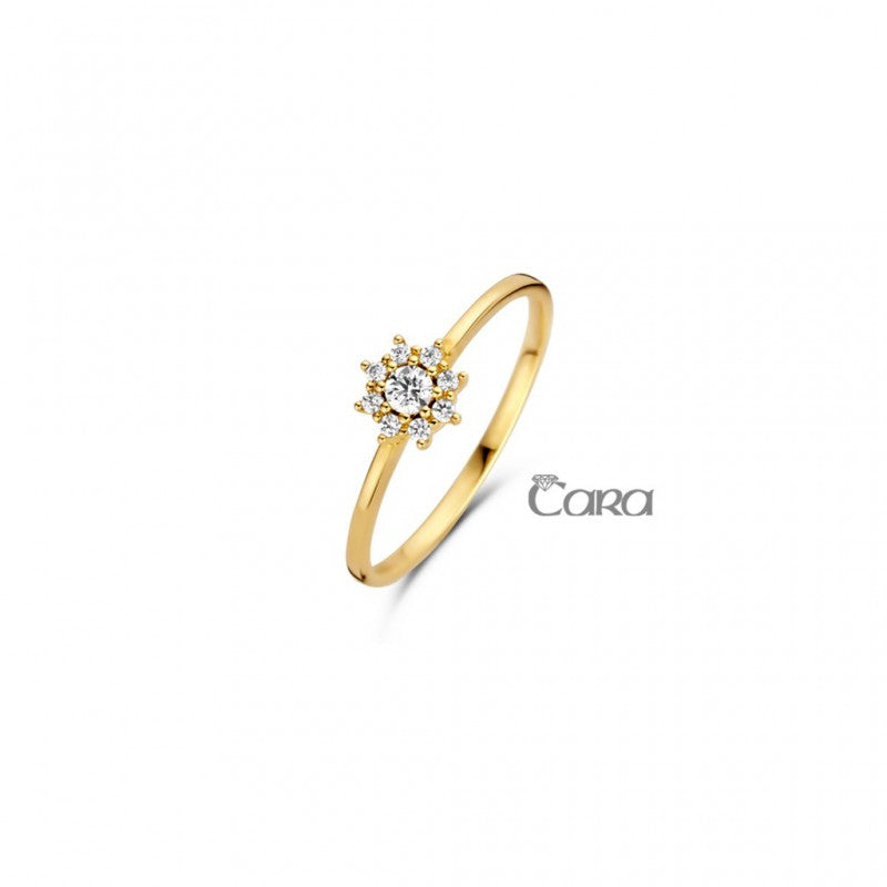 Aucielle – Bague – Or Jaune & Zirconium