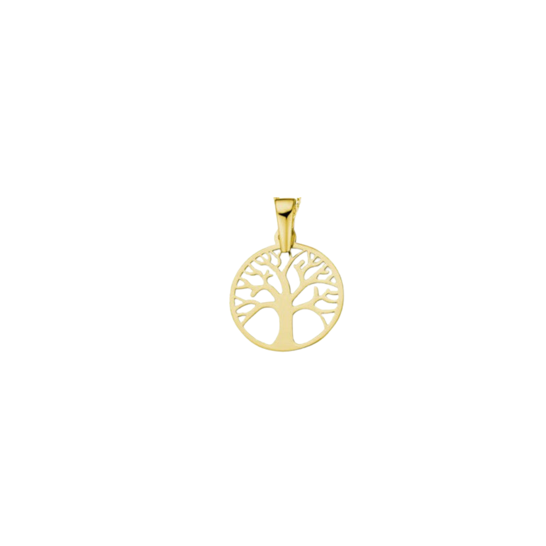 Aucielle – Pendentif – Or Jaune