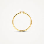 Blush – Bague – Zirconium – vue 3