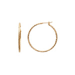 Boucles d'oreilles – Plaqué or – vue 2
