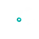 Dodo – Composant – Rondelles – vue 3