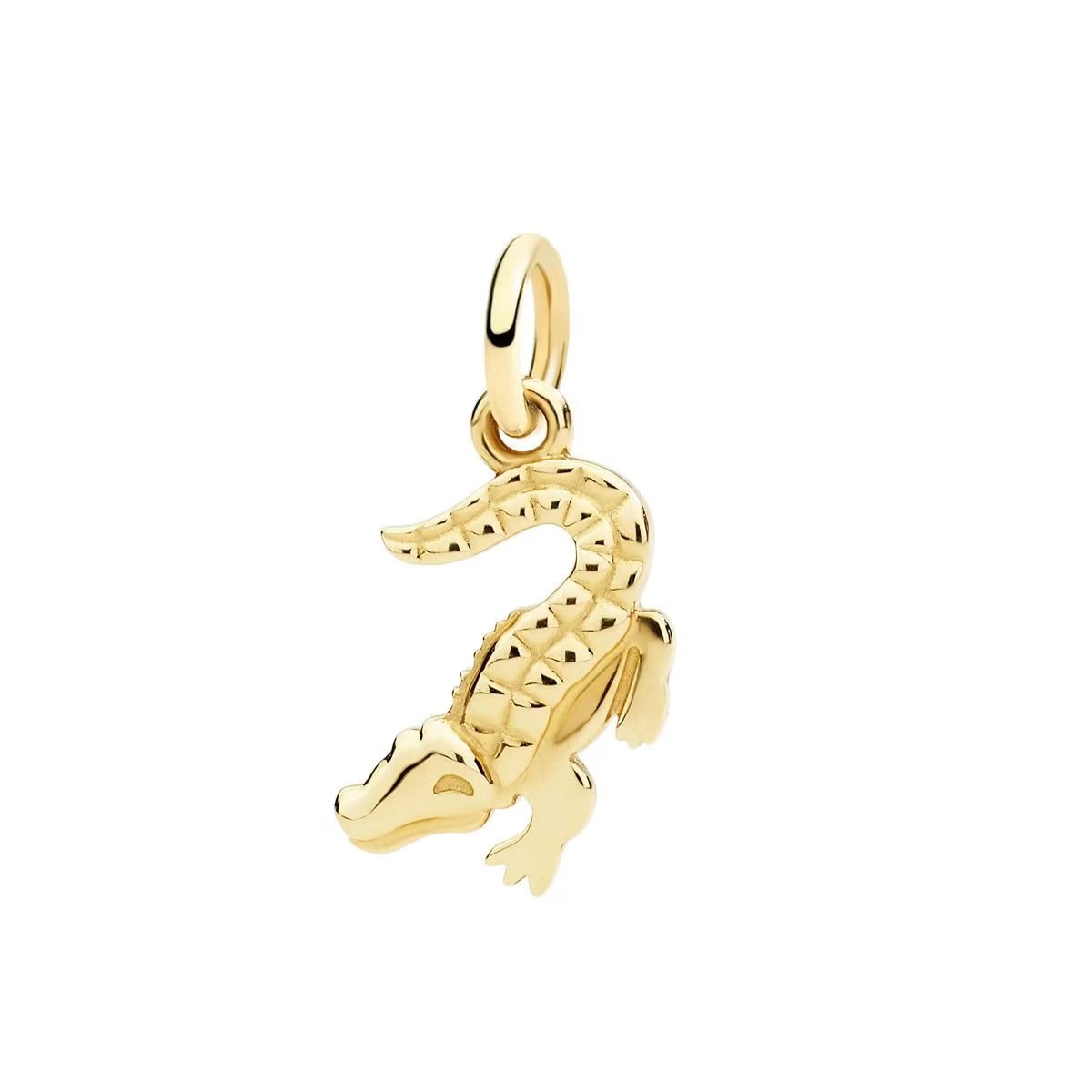 Dodo – Crocodile