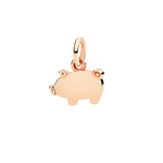 Dodo – Petit Cochon