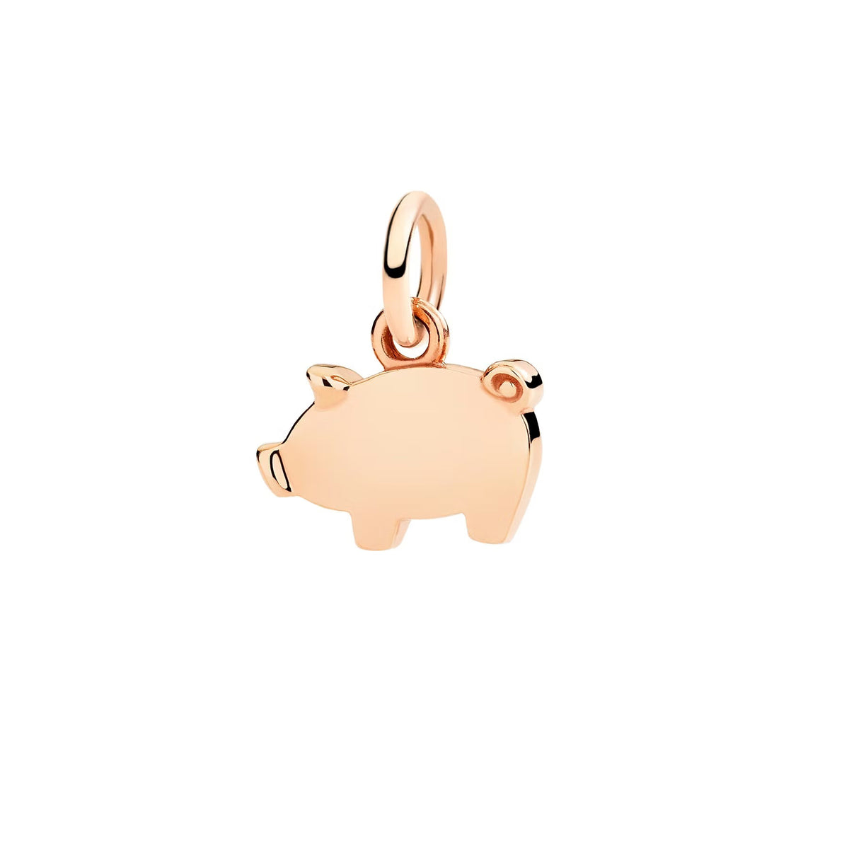 Dodo – Petit Cochon