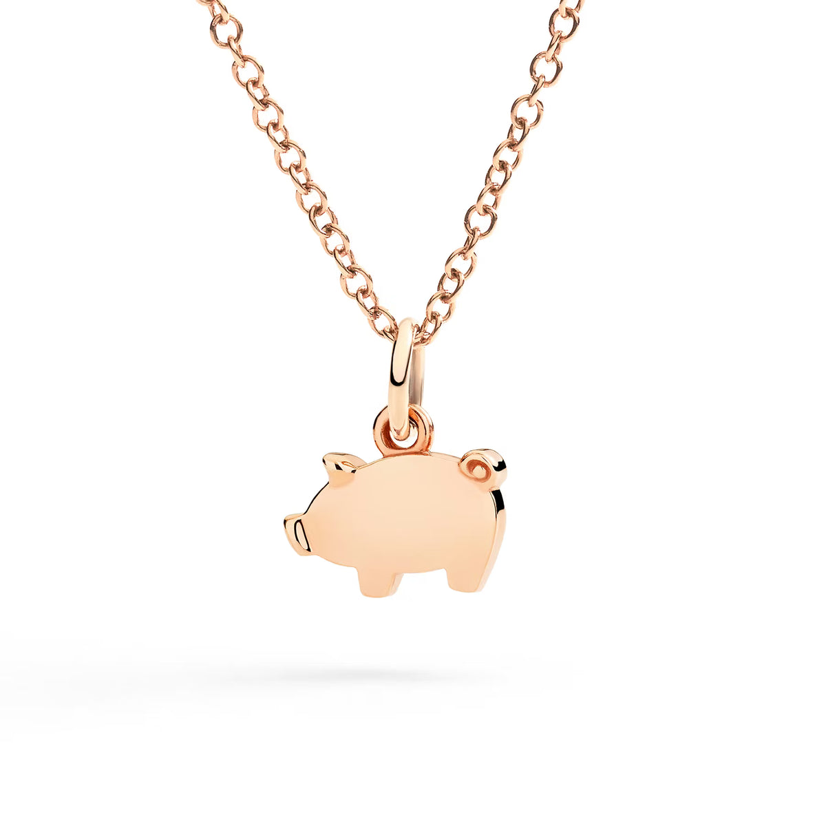 Dodo – Petit Cochon – vue 2