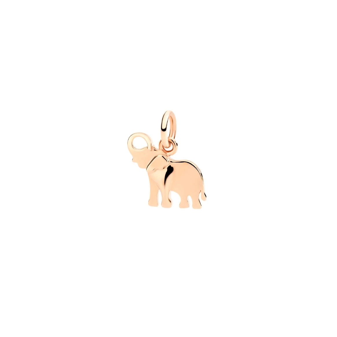 Dodo – Éléphant