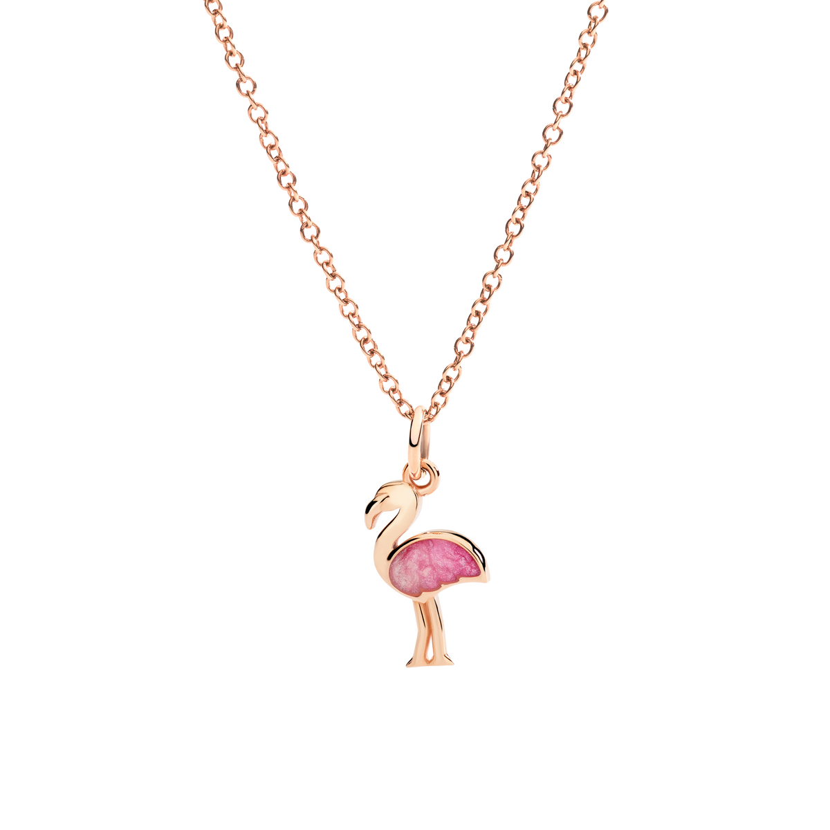 Dodo – Flamant rose – vue 2