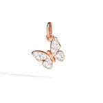 Dodo – Papillon Luxe