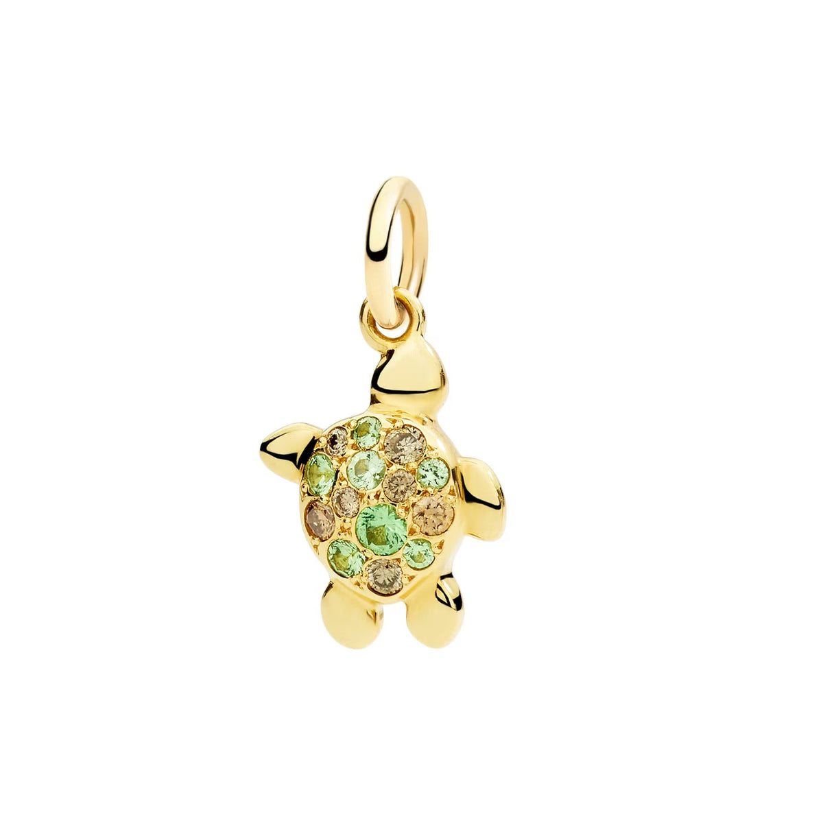 Dodo – Tortue