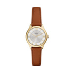 Fossil – Gilmore