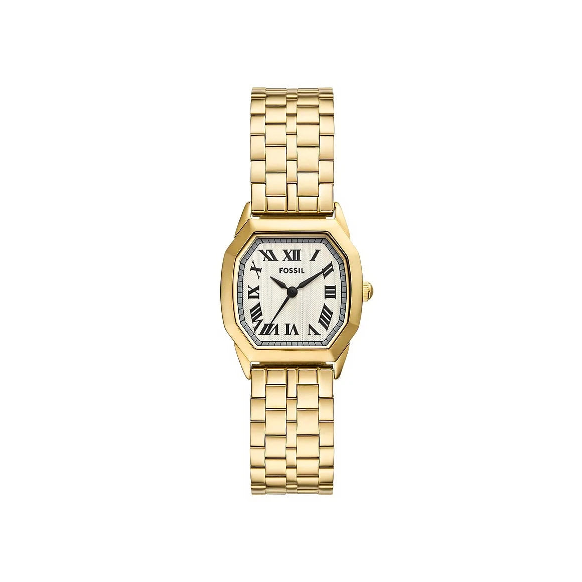 Fossil – Harlow