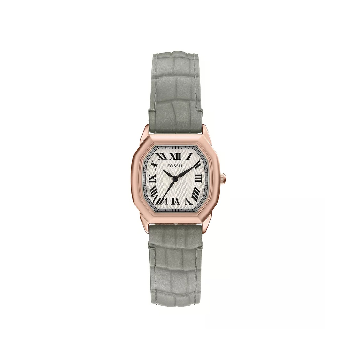 Fossil – Harlow