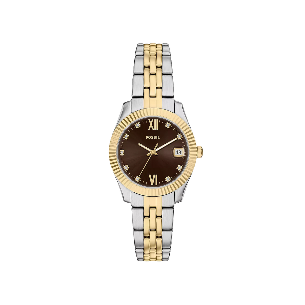 Fossil – Scarlette
