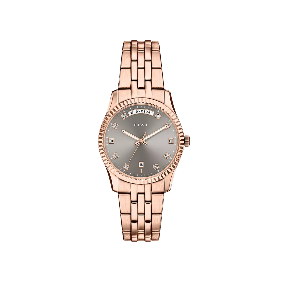 Fossil – Scarlette