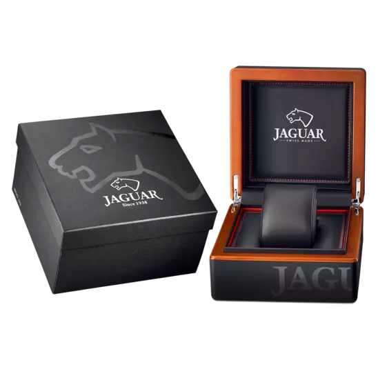 Jaguar – Ceramic – vue 2